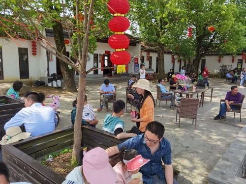 羅田假日旅游 產品豐富多樣，服務文明有序