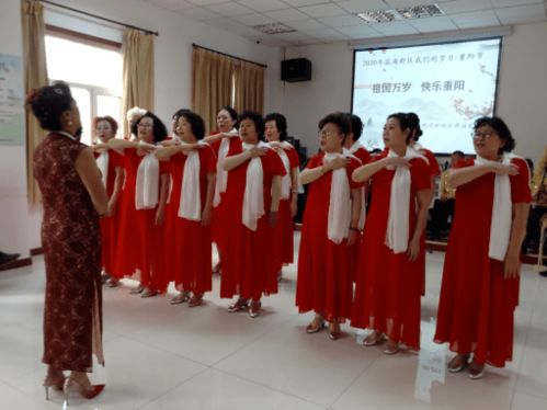 金秋慶重陽(yáng) 文化惠民添新彩——?jiǎng)?chuàng)建國(guó)家公共文化服務(wù)體系示范區(qū)社區(qū)文藝演出與藝術(shù)咨詢服務(wù)活動(dòng)紀(jì)實(shí)