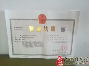 聊城市電視臺(tái)《公益在行動(dòng)》 用藝術(shù)文化服務(wù)傳遞城市溫度